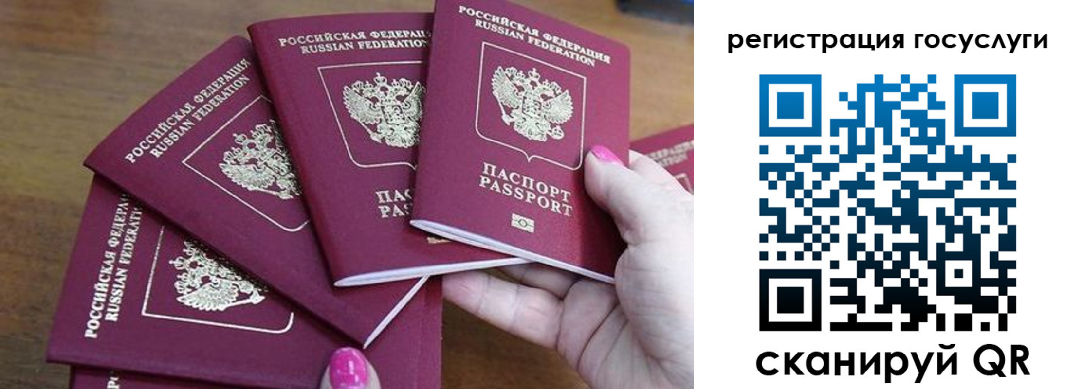 прописка в Ярославле